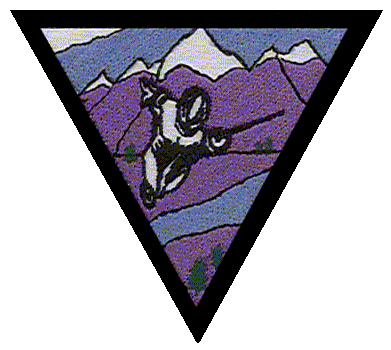 Bigsky Fencing Assoc. Logo